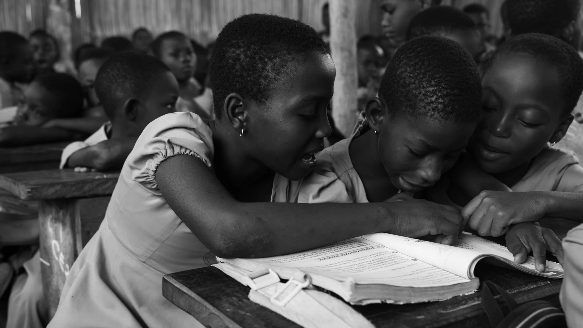 Image de la galerie 4