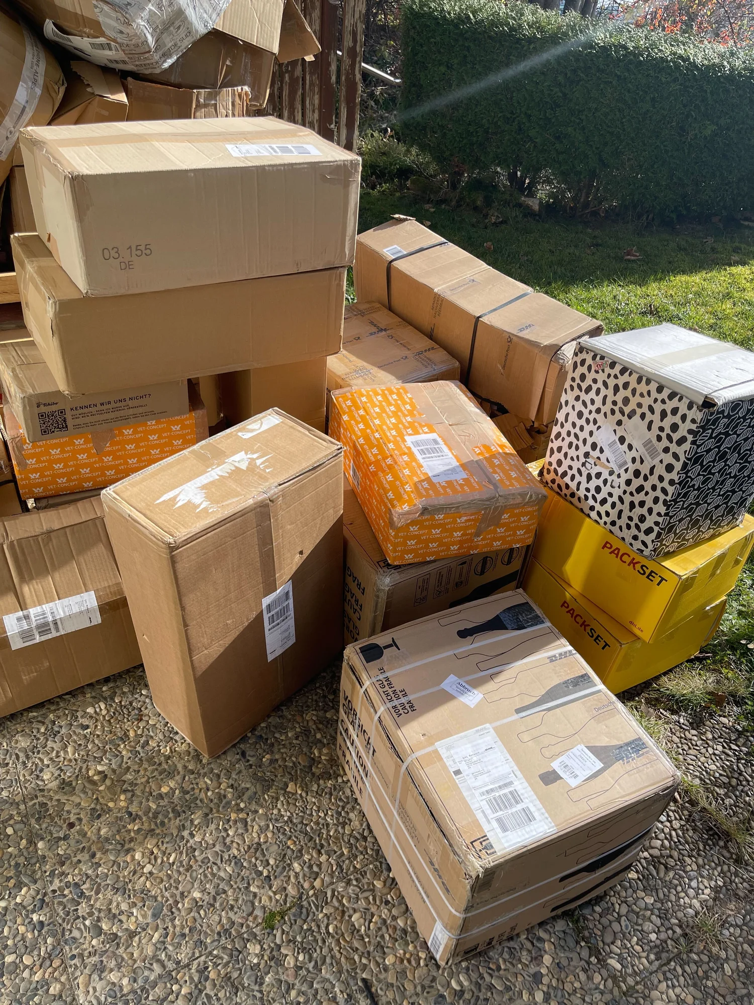 Image de la galerie 3